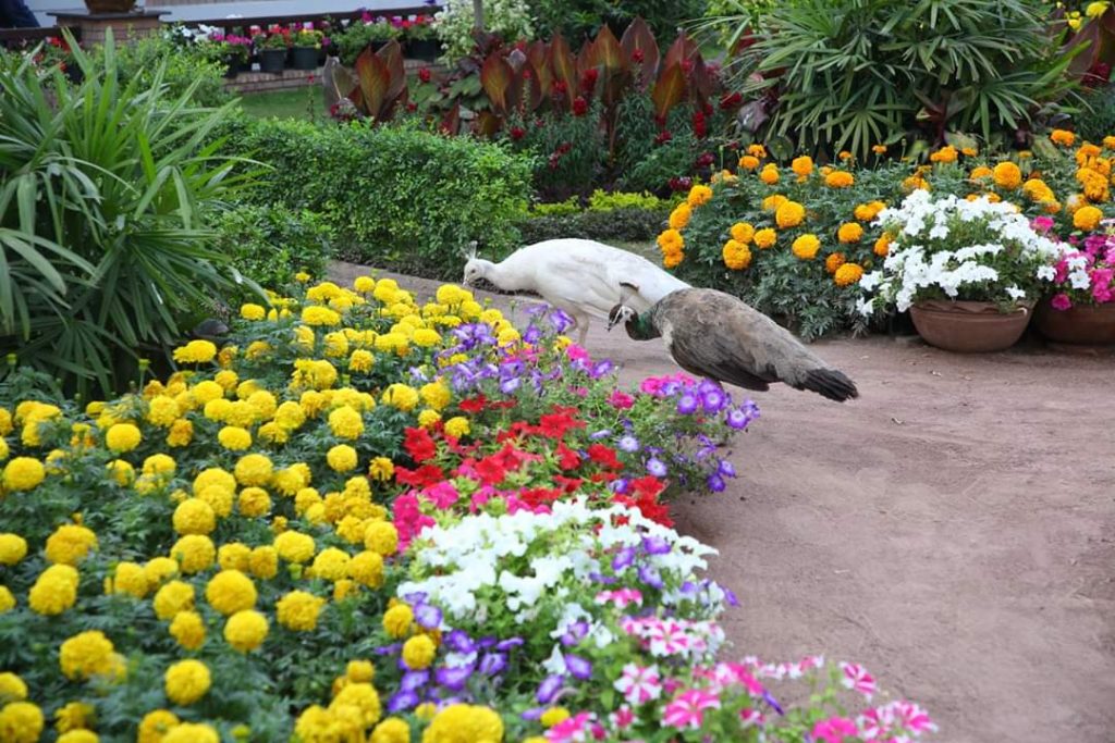 Lahore Gymkhana Club A Legacy from the Past